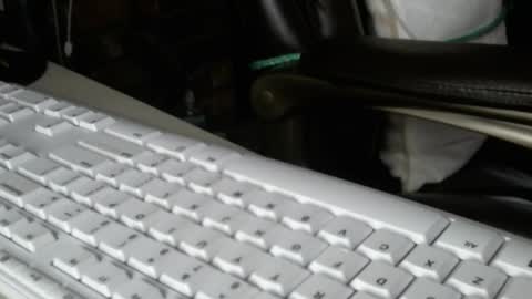 Snapshot of vnpg92 chatting on 12-13-25, 08:14 vnpg92 online show from 12-13-25, 08:14