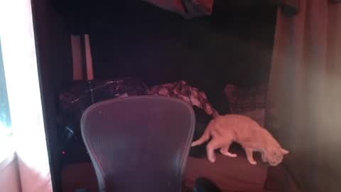 Rev online show from 04-27-26, 06:06