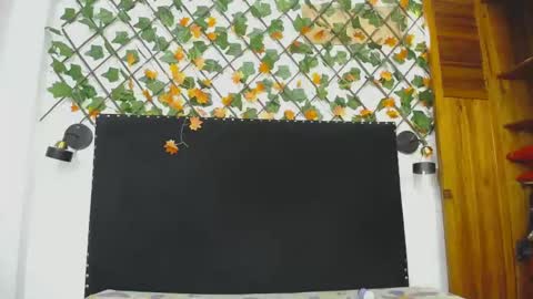 Snapshot of vskayper chatting on 04-28-26, 02:55 skay online show from 04-28-26, 02:55