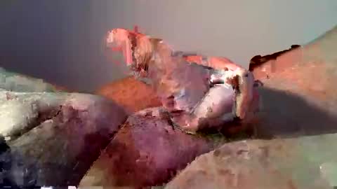 vukavuka99 online show from 12-16-24, 12:59