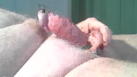 vukavuka99 online show from 03-02-26, 09:21