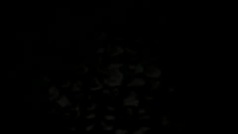 w2456 online show from 11-25-25, 11:38