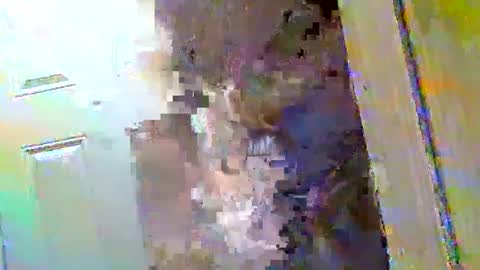 Snapshot of waltbkk chatting on 12-09-24, 10:43 Walter online show from 12-09-24, 10:43