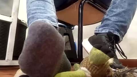 WaltherFeet  online show from 02-10-25, 06:56