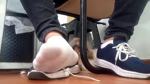 WaltherFeet  online show from 09-08-25, 04:50