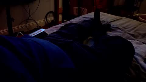 I love the ol in-n-out  online show from 03-20-26, 03:22