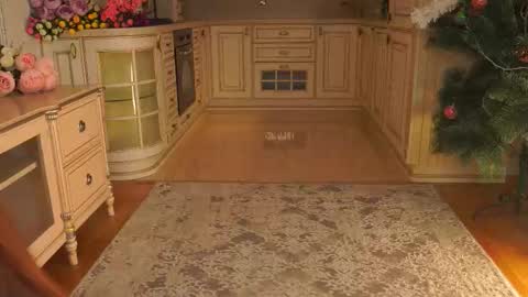 hello guys im Lilian online show from 01-12-26, 03:12