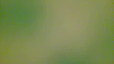 watchplaycum online show from 10-08-25, 11:24