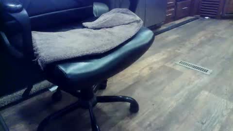 wayne1311 online show from 02-03-26, 06:46