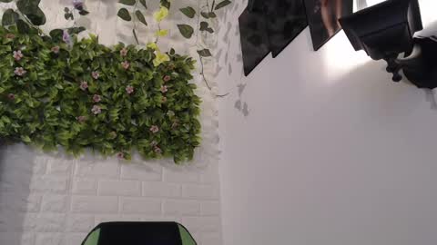 Snapshot of we_n_you chatting on 02-17-25, 07:42 Trixie 3 online show from 02-17-25, 07:42