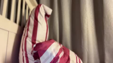 Maggie online show from 10-13-25, 04:07