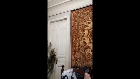 Marina online show from 02-26-25, 04:14