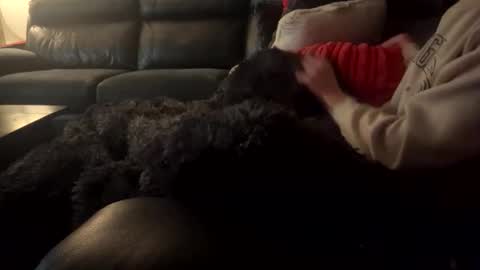 Snapshot of wellocal chatting on 12-21-25, 08:05 wellocal online show from 12-21-25, 08:05