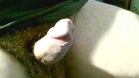 welshstuds online show from 09-11-25, 11:32