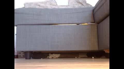 Snapshot of wet_pants2022 chatting on 02-27-25, 04:43 wet_pants2022 online show from 02-27-25, 04:43