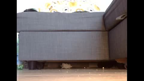 Snapshot of wet_pants2022 chatting on 03-03-25, 04:46 wet_pants2022 online show from 03-03-25, 04:46