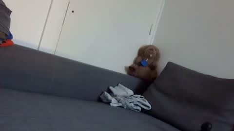 Snapshot of wet_pants2022 chatting on 09-22-25, 07:10 wet_pants2022 online show from 09-22-25, 07:10