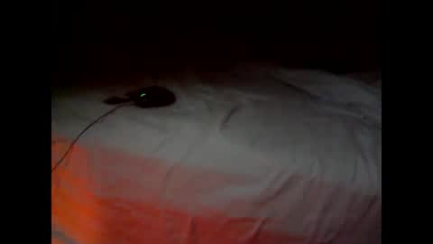 wgefwdtfvnlx online show from 02-25-26, 07:34