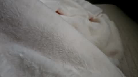 what_whaaat online show from 09-21-25, 05:03