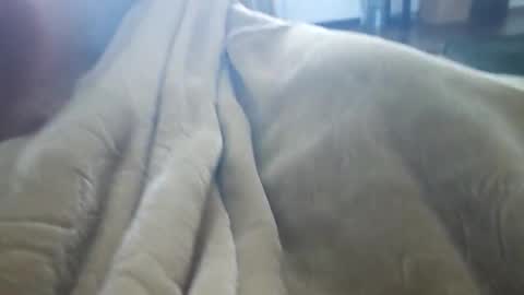 what_whaaat online show from 11-03-25, 09:16