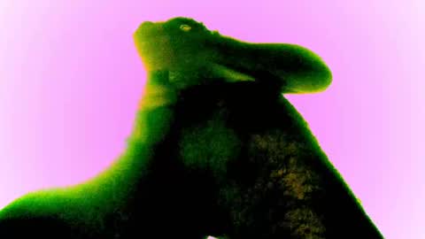 Snapshot of whatsexo chatting on 02-28-25, 12:54 whatsexo online show from 02-28-25, 12:54