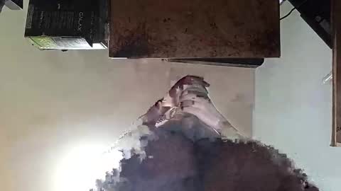 Snapshot of whatsexo chatting on 09-19-25, 07:10 whatsexo online show from 09-19-25, 07:10