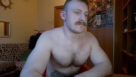 WhiteBull online show from 02-08-26, 06:06