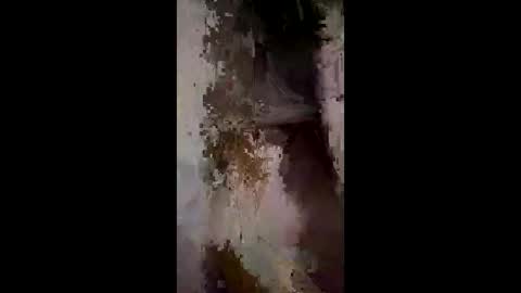 Snapshot of whitelava_4u chatting on 12-02-25, 03:01 whitelava_4u online show from 12-02-25, 03:01