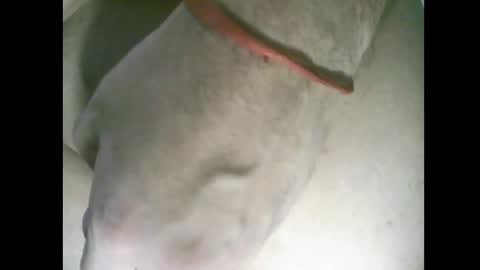 whitelines1991 online show from 03-06-26, 01:02