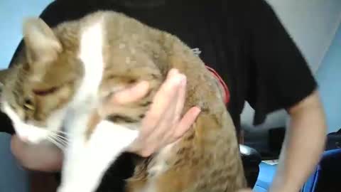 Tommy online show from 12-30-24, 10:21