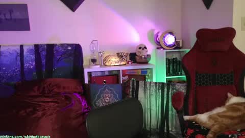 Gretchen  Jimmy online show from 07-21-26, 02:47