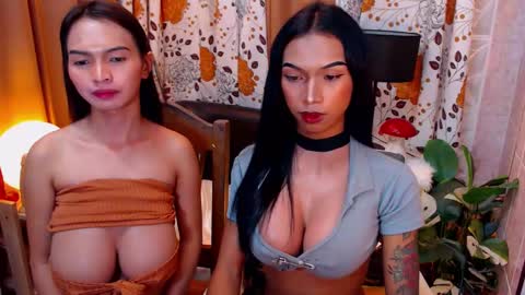 wildara online show from 02-08-25, 02:26