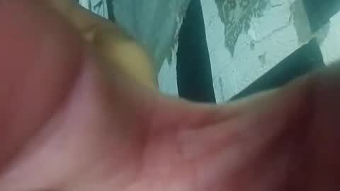 wildasshole123 online show from 11-29-25, 12:19