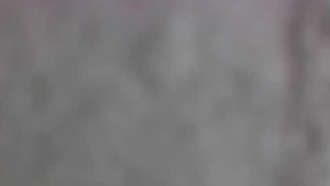 Snapshot of wildflower206042 chatting on 06-04-26, 11:00 xxLavanderxx online show from 06-04-26, 11:00