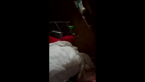 wildkatxx20 online show from 03-19-26, 12:42