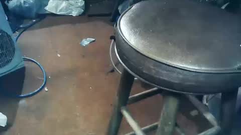 wildman6 online show from 10-11-25, 05:44