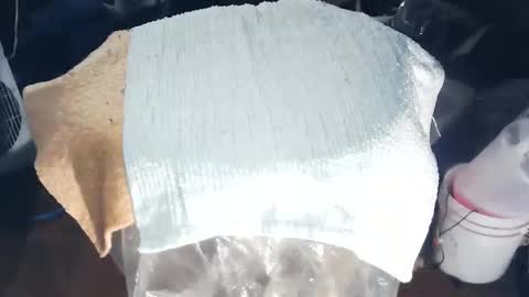 wildman6 online show from 11-17-25, 08:47