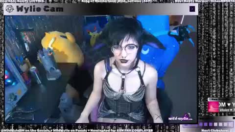 Snapshot of wildwylie chatting on 01-03-25, 04:00 Wylie Wanderlust online show from 01-03-25, 04:00