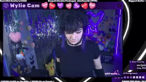 Snapshot of wildwylie chatting on 02-28-25, 02:53 Wylie Wanderlust online show from 02-28-25, 02:53