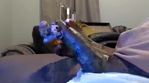 willy d bbc uncut bigdick edging online show from 02-11-25, 09:20