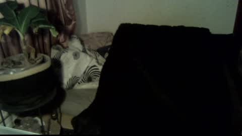 Snapshot of willingwillwet chatting on 12-18-24, 03:11 Call me Babe online show from 12-18-24, 03:11