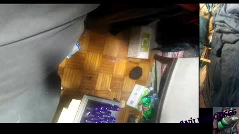 Snapshot of willisgod666 chatting on 12-10-24, 05:28 willisgod666 online show from 12-10-24, 05:28