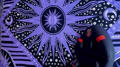 willy_veins online show from 12-03-24, 08:27