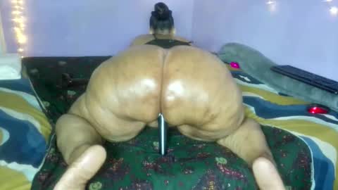 wilmaassylum online show from 12-19-25, 05:58