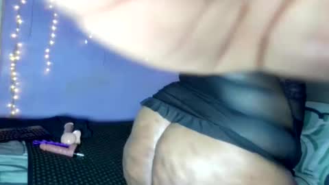 wilmaassylum online show from 04-27-26, 06:44