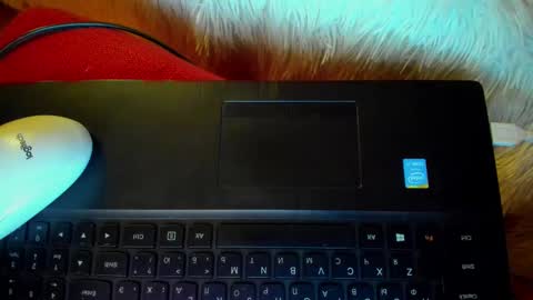 Winter Miracle online show from 01-20-25, 07:36