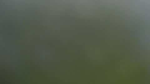 Wisa Randy online show from 11-11-25, 06:08