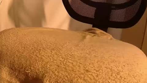 Mater online show from 11-14-25, 05:44