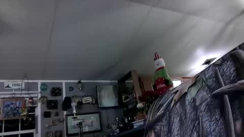 wldlife online show from 11-25-25, 02:44