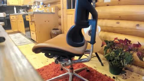 Snapshot of wobbleon chatting on 12-20-24, 11:37 Gobbleon online show from 12-20-24, 11:37